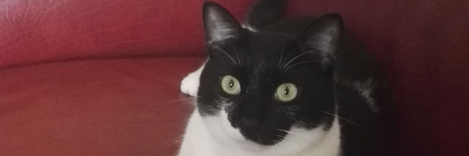 caloscoz's profile banner image