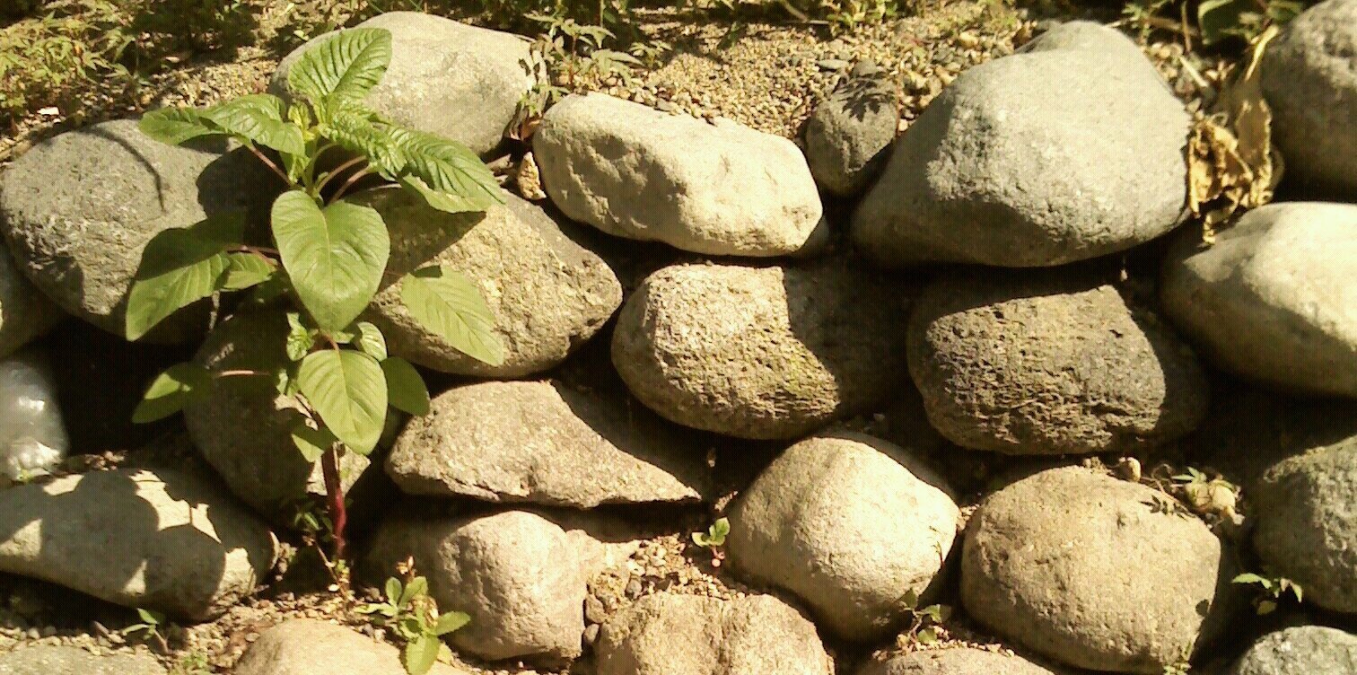 chairuddin uud banner