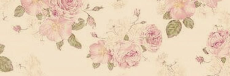 LKathony's profile banner image