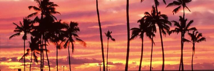lovestooned's profile banner image