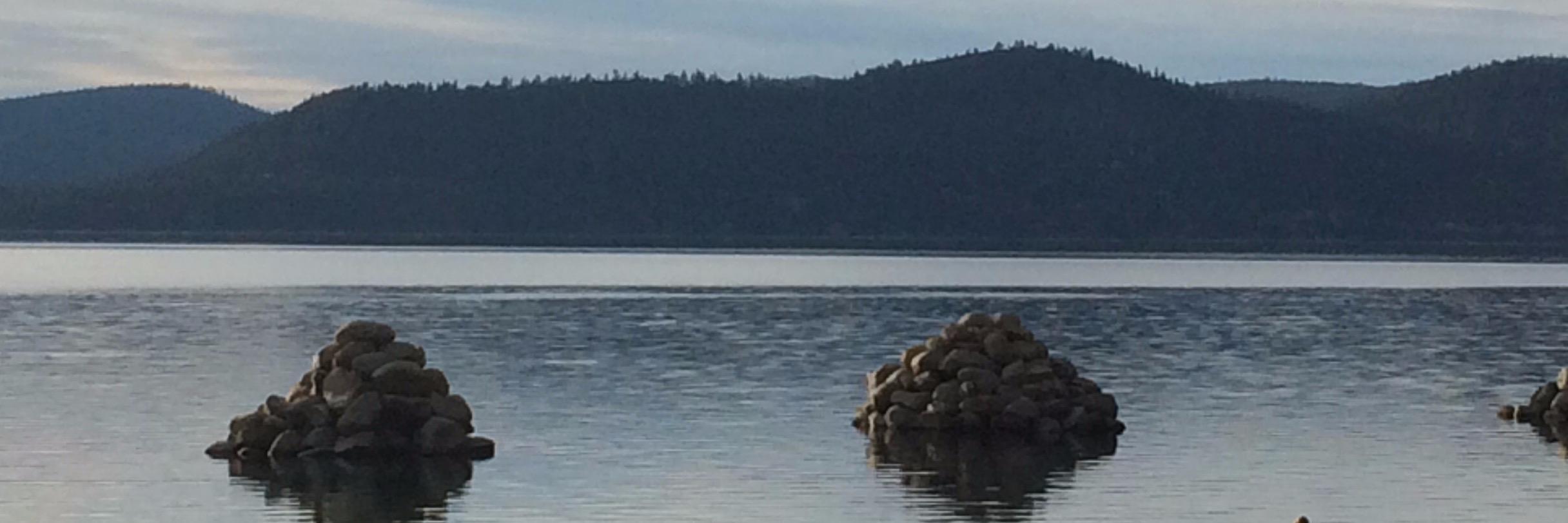 Rick Walsworth banner