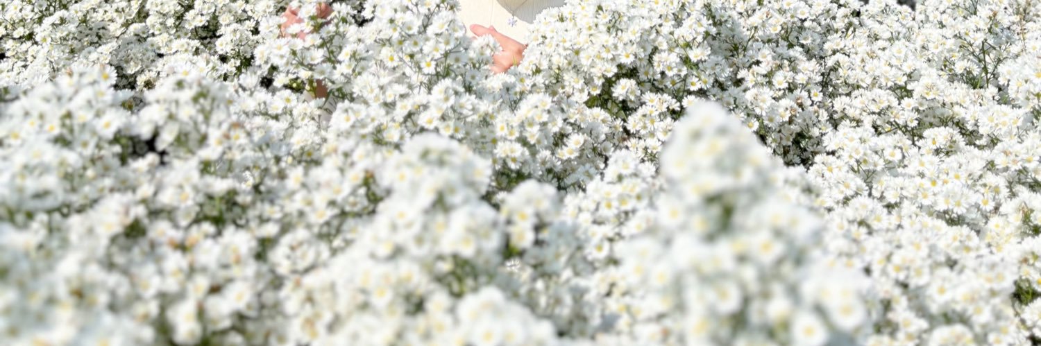 ppiinnkko's profile banner image