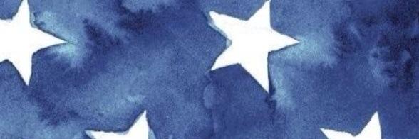 Laurinn's profile banner image