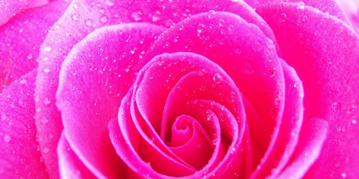 Chloe_Stanley28's profile banner image