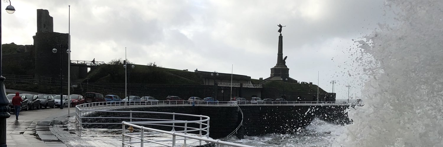 Frances McLaughlin banner