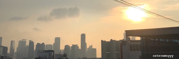 widi 🍣🍤🥩🍓 banner