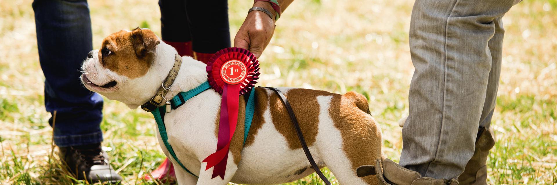 smallholdershow's profile banner image
