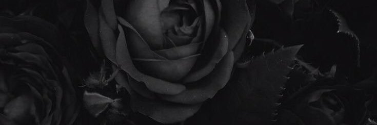 thaisshdw's profile banner image