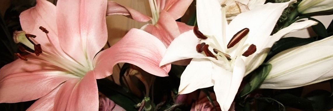 meunniz's profile banner image