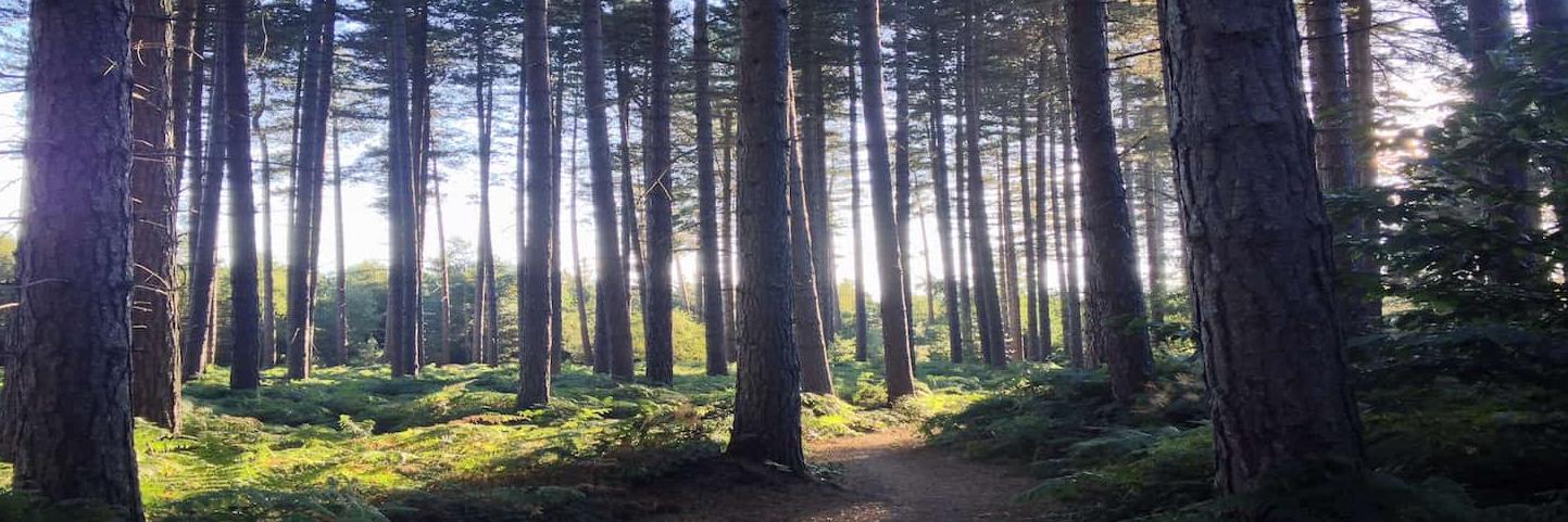 liam_white's profile banner image