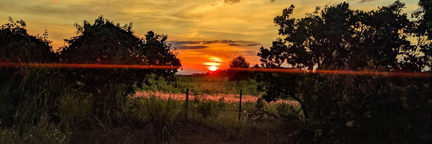 joseph_vmp's profile banner image