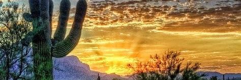 Jeanette 😎🌞🌵🌻🦎🌴🇺🇸ULTRA MAGA**USA**ARIZONA* banner