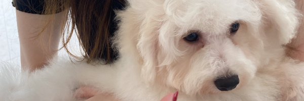 GpxBao Profile Banner