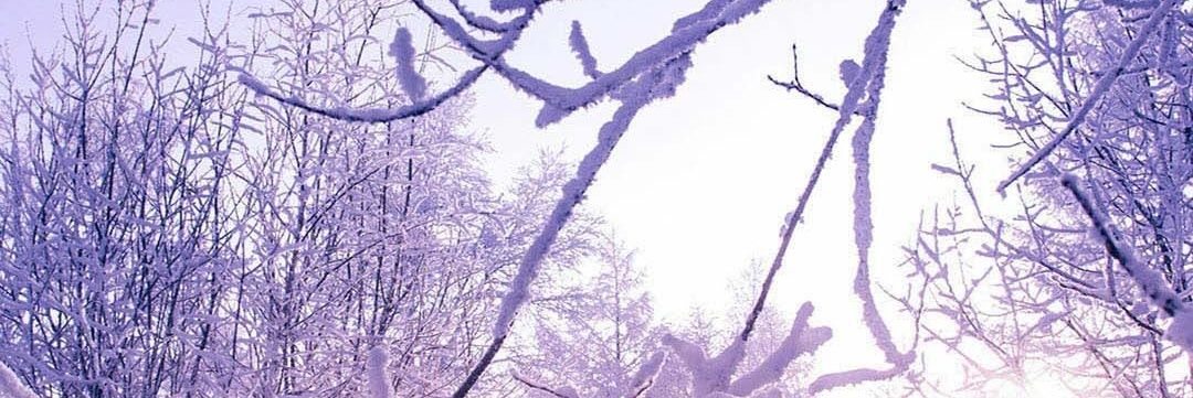 Alexa_milashka's profile banner image