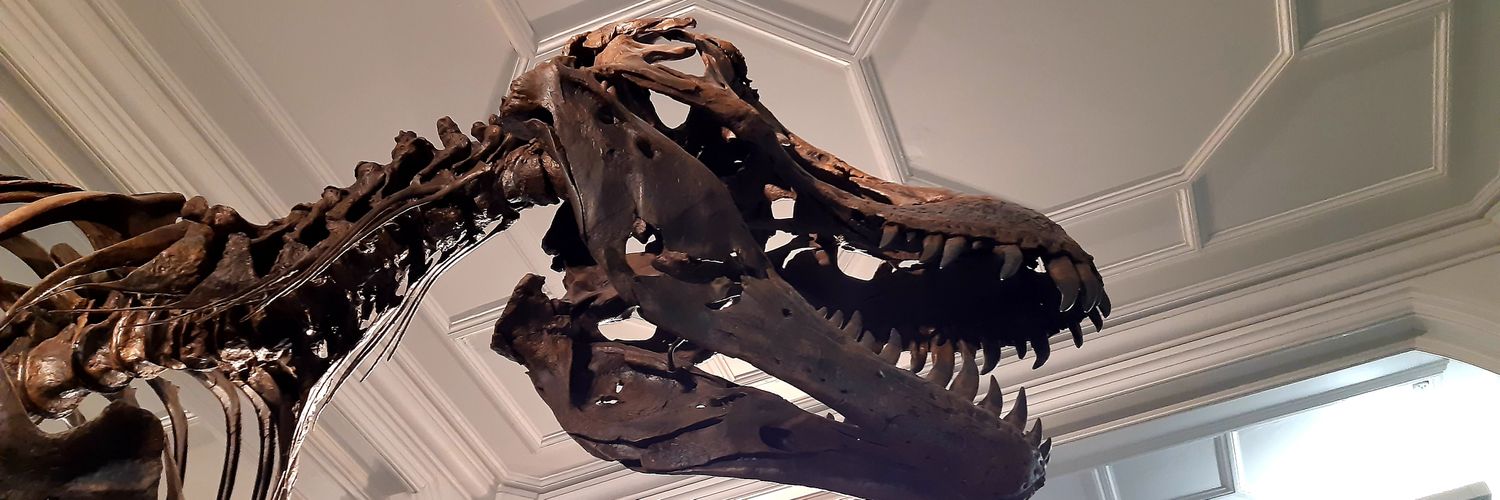 May Contain Geeks banner