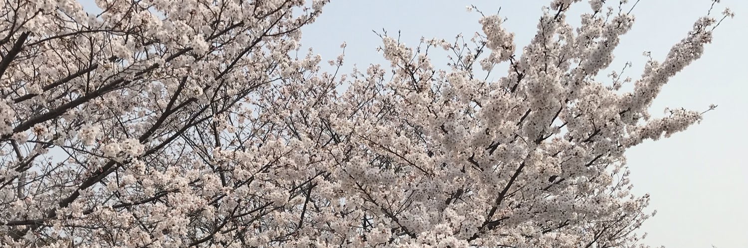 ali_milk99's profile banner image