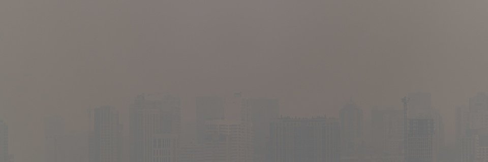 ферзь всяческая banner