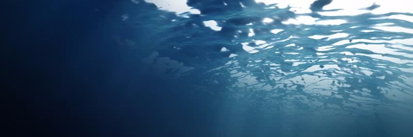 Marcelo d'Amorim banner