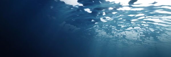 marcelodamorim Profile Banner