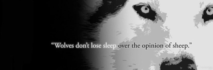 Jorge Solodkin banner