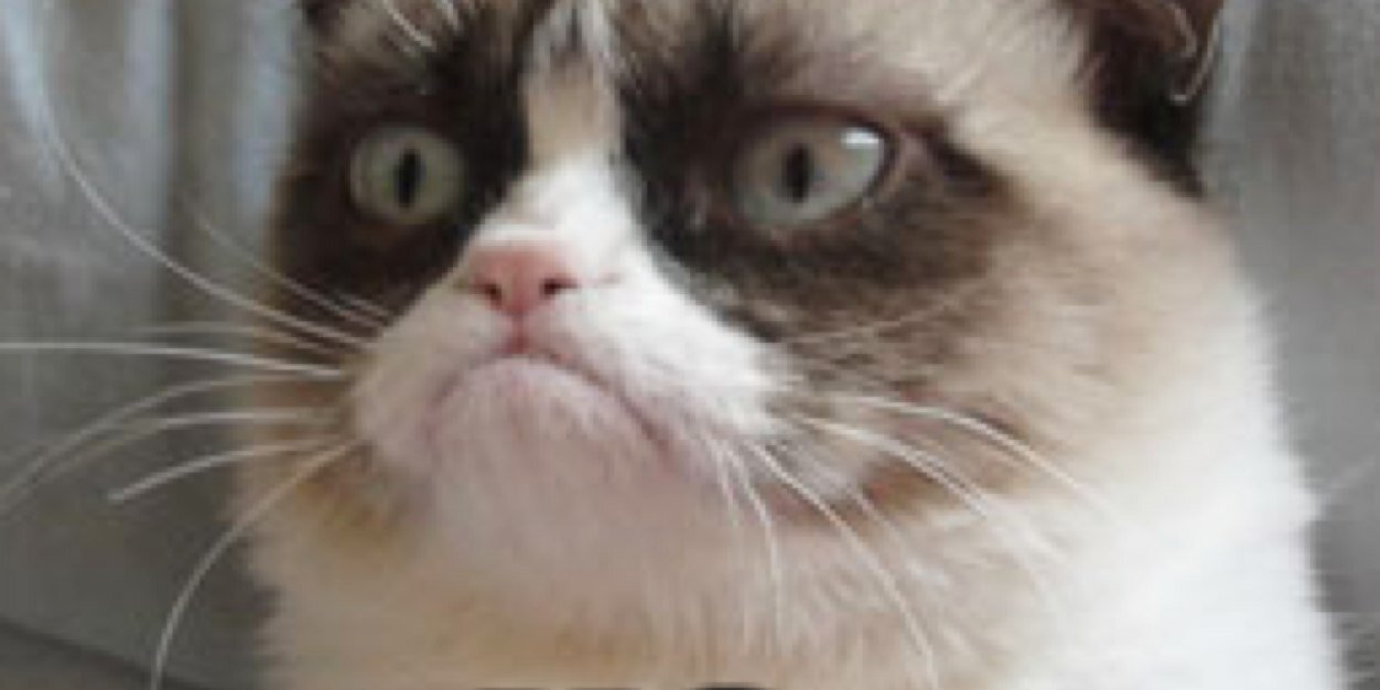 VeryOldLion's profile banner image