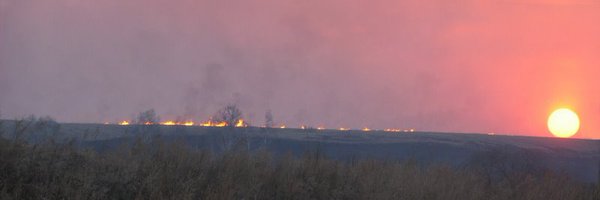 dercater Profile Banner