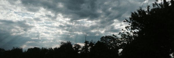 IP4PI Profile Banner