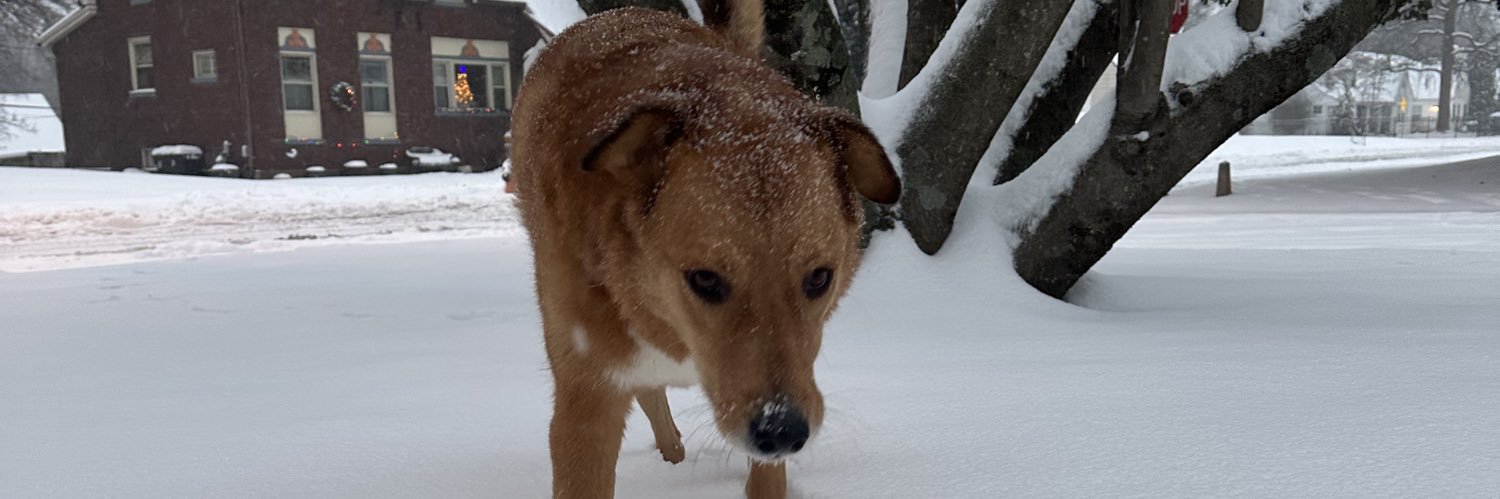 Jordan Charles banner