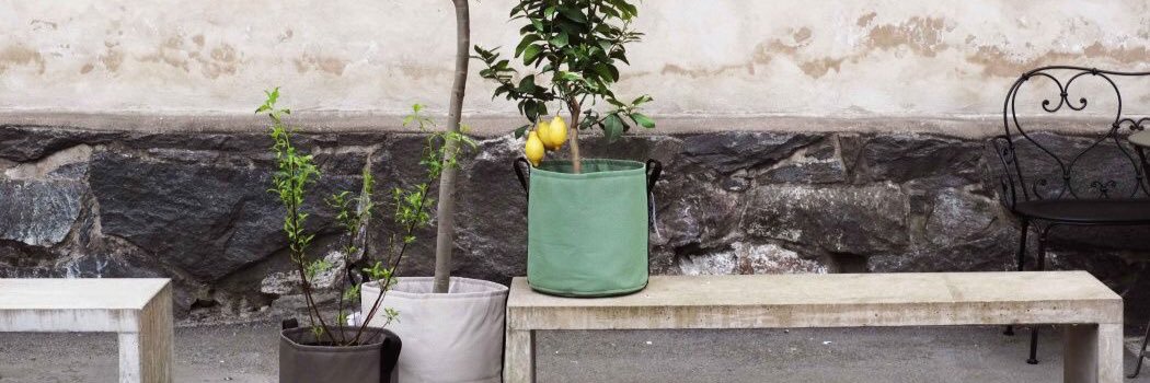 HORECA_terras's profile banner image
