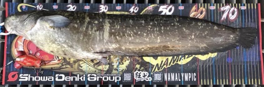 1028gt's profile banner image
