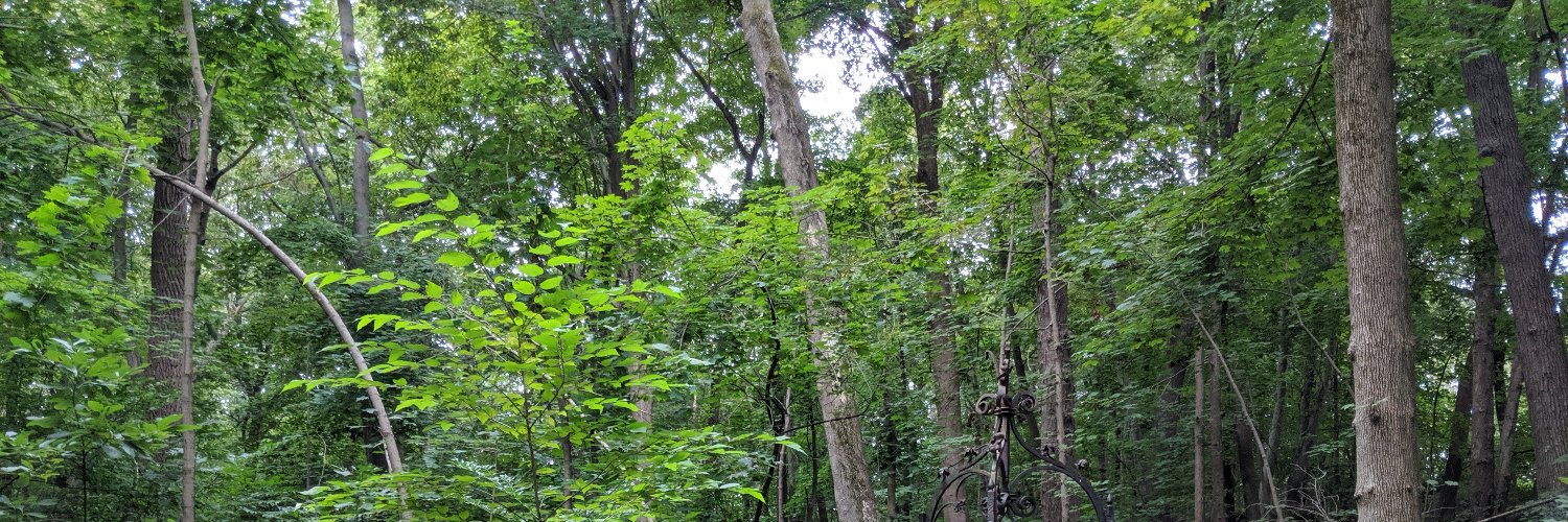 Neil Mallinar banner