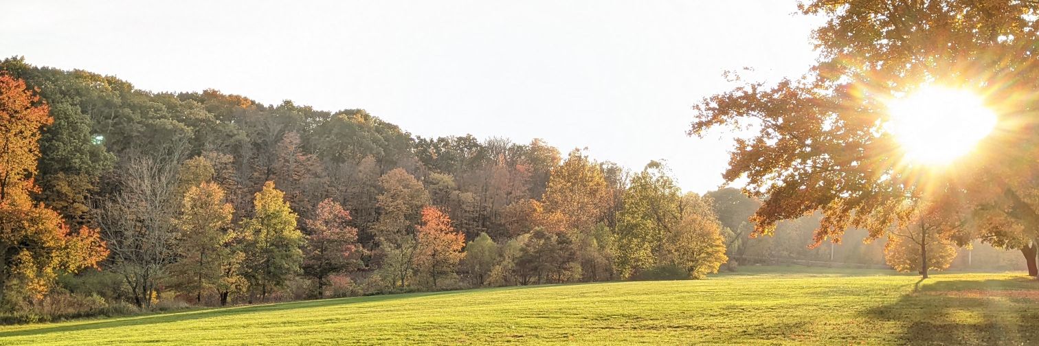 Stutz01's profile banner image