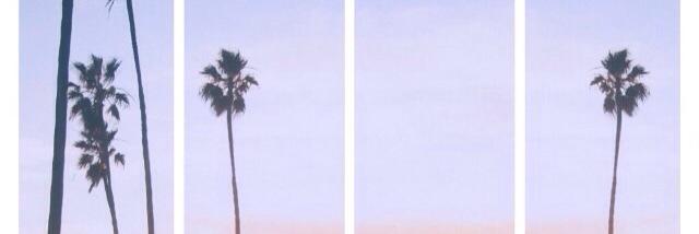 martaadrb's profile banner image