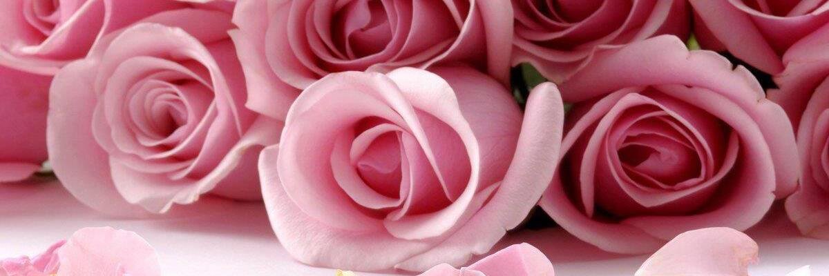 JillLDay's profile banner image