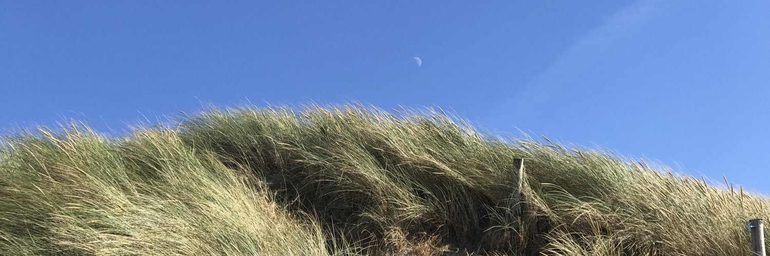 mneuser's profile banner image