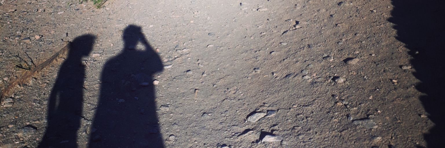 negrozap's profile banner image