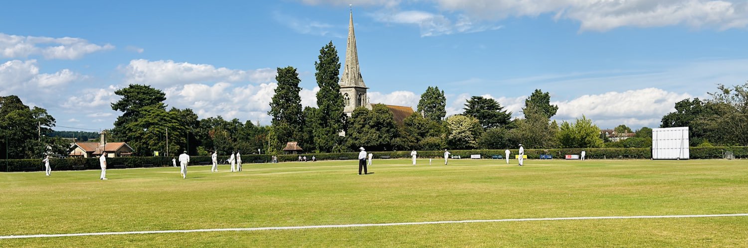 Mistley Cricket Club banner