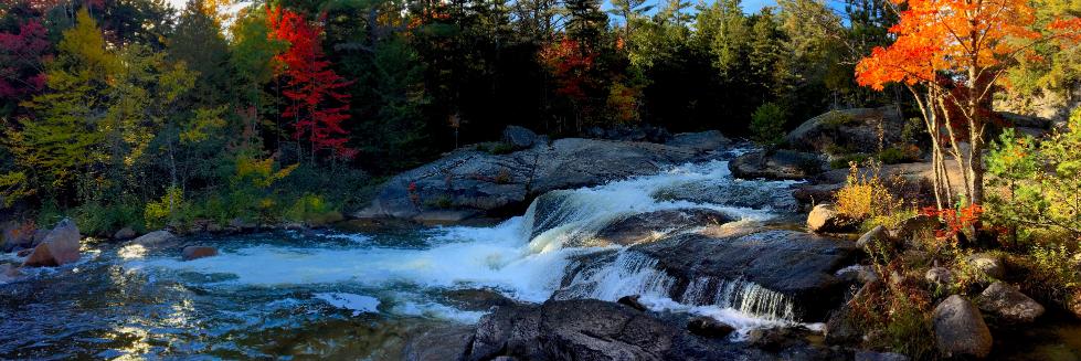 Charlie Spatz banner