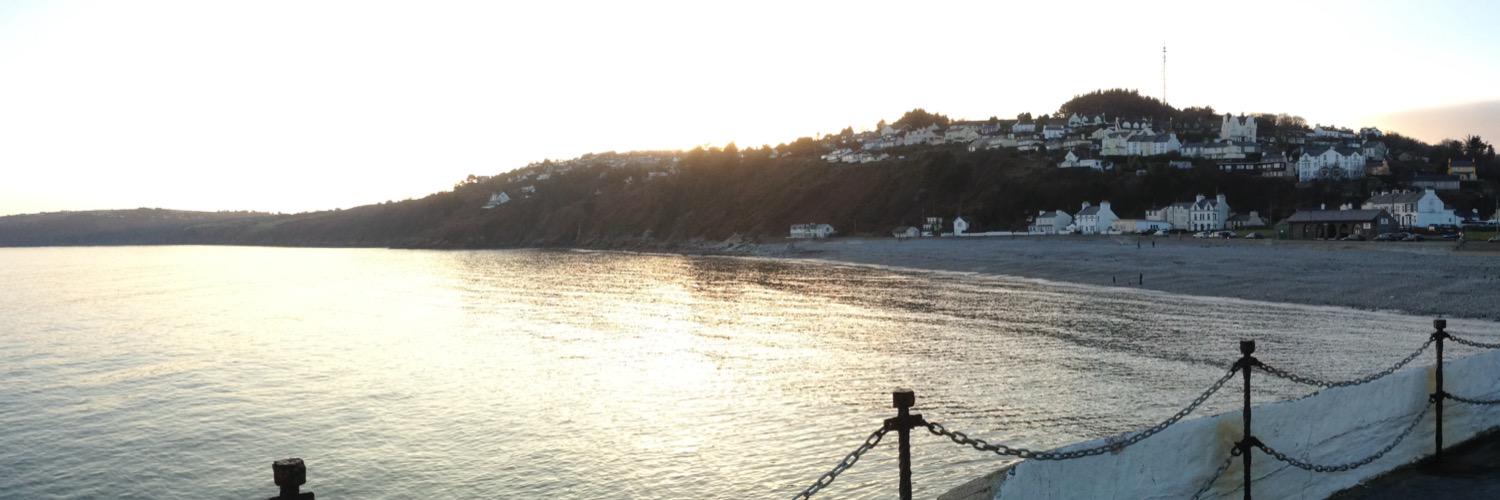 hippocrocafrog's profile banner image