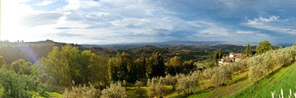 paluffo Profile Banner