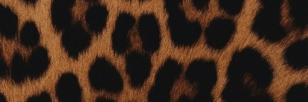 APiscesSun's profile banner image