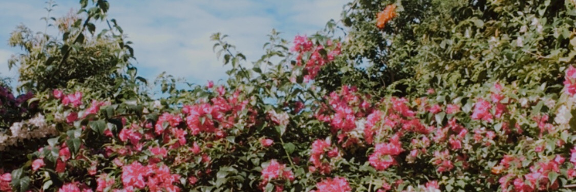 Fety banner