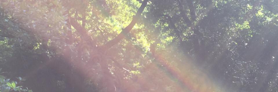 Kkhuntnp6's profile banner image