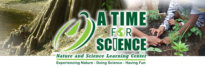 ATimeForScience's profile banner image