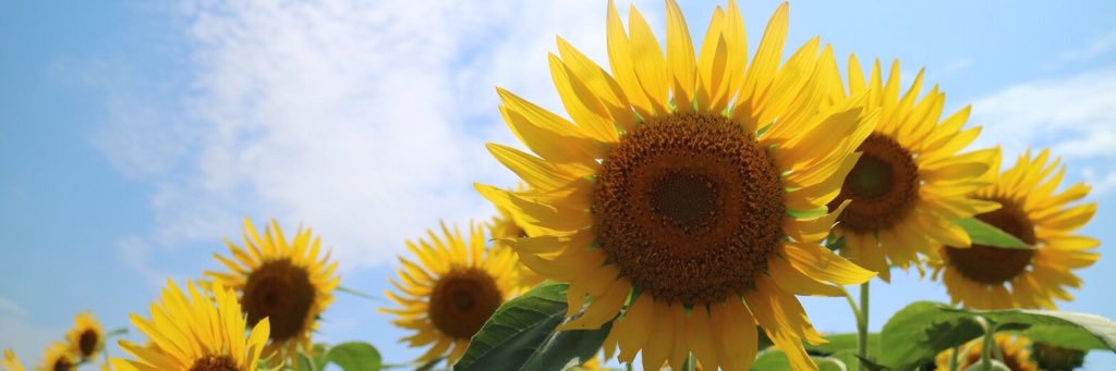 miii4620's profile banner image