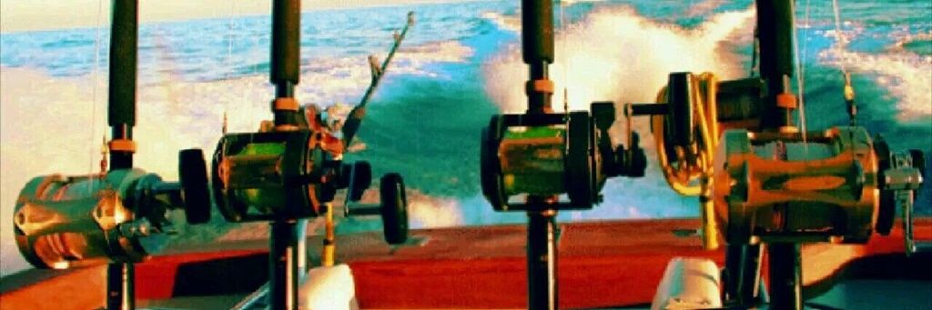 jay52404's profile banner image