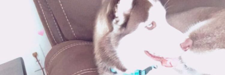 Lizeth0714's profile banner image