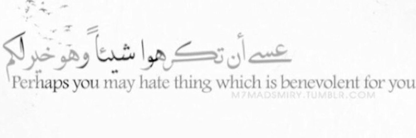 ⁽ Ꭲм͞п͞ε͞т͞к ₎ banner