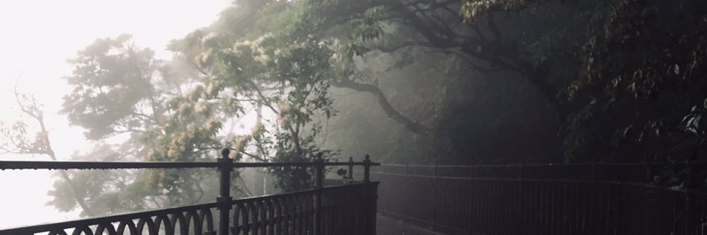 🅝🅐🅝🅐 banner