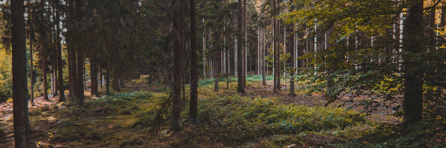 vlvdyslav's profile banner image
